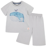 Bộ xuất Hàn cotton áo in hình cá voi xanh + quần sớ. HA0489