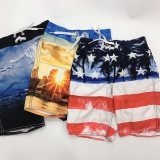 Quần bơi bé trai Old Navy. HA0992 (6 màu)