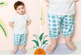 Quần thun lạnh lửng bo gấu caro logo dứa bé trai bé gái MM. HA4344
