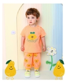 Quần thun bo chun họa tiết quả chanh bé trai bé gái MM. HA4176