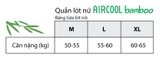 Set 3 quần lót nữ sợi tre kháng khuẩn Aircool. HA1439