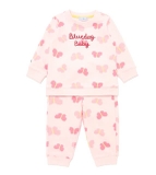 Bộ nỉ da cá họa tiết bướm hồng bé gái Cún xanh baby. HA3094