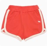 Quần cotton viền thể thao bé trai bé gái Cún xanh baby. HA2423