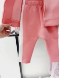 Bộ thể thao hoddies xốp nhẹ bé trai bé gái Dear.baby. HA1946