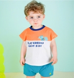 Áo cotton phối màu Play ground chiot bé trai bé gái Moli. HA0603