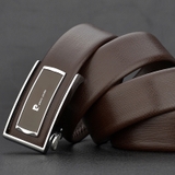 DÂY LƯNG PIERRE CARDIN BE-P 347 (Nâu & Xanh)