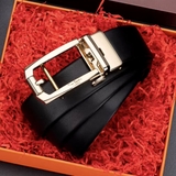 THẮT LƯNG PIERRE CARDIN BE-P 2258