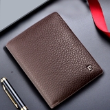 VÍ ĐỨNG PIERRE CARDIN LW-P 108