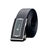 DÂY LƯNG PIERRE CARDIN BE-P 347 (Nâu & Xanh)