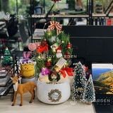 Set Merry [Tông Đỏ] Size M