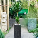 Chậu Ximang Trụ Vuông [Square Concrete Tall Planter] (D30H60)