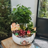 Tiểu Cảnh Ngôi Nhà Hạnh Phúc