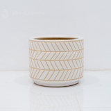 Chậu Trụ Kẻ Trắng M [White Striped Pot] (D26H22)