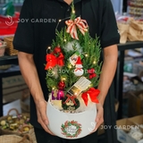 Set Merry [Tông Đỏ] Size M