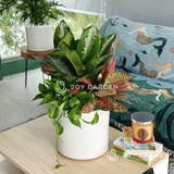 Set Vạn Phúc Vạn Lộc