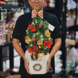 Set Merry Cherry [Tông Cam Đỏ] Size M