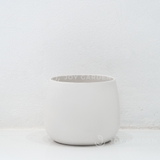 Chậu Lê (D22H22)