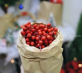 Cherry [Xmas Berries]