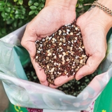 SOIL MIX (~6kg) - Đất trồng sen đá 85% đá khoáng