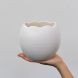 Chậu Trứng Rồng
