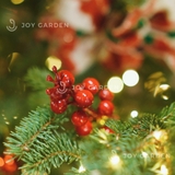 Cherry [Xmas Berries]