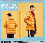 Áo Lông Vũ Nam Lining AYMR367