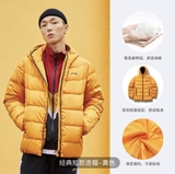 Áo Lông Vũ Nam Lining AYMR367