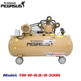 Máy nén khí Pegasus TM-W-0.9/8-330L 10HP