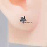 Bông Tai Bạc Nữ Kiểu Nụ Đá Đen Hình Ngôi Sao