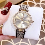 Đồng Hồ Nữ Coach 14503456 Dây Da Vỏ Vàng Đính Đá Size 34mm