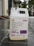 Dung Dịch Bóng Lốp, Dưỡng Lốp NK - Tỉ Lệ 1:5~10
