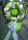 V32 - Hoa tang lễ