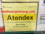 Atendex