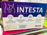 Intesta