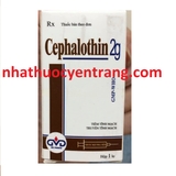 Cephalothin 2g