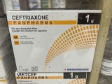 Ceftriaxone Panpharma 1g