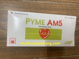 Pyme AM5