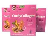 Đông Trùng Hạ Thảo CordyCollagen HealthyLife