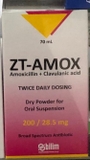 ZT Amox