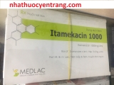 Itamekacin 1g/4ml