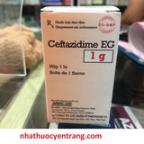 Ceftazidime EG 1g