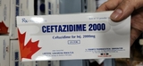 Ceftazidime 2000