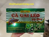 Cà gai leo xạ đen