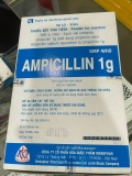 Ampicillin 1g Mekophar