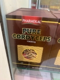Đông Trùng Hạ Thảo Pure CordyCeps