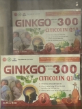 Ginkgo Natto Plus 300 Citicolin Q10