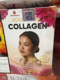 Beauty Care Collagen