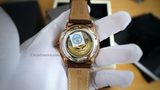 Reef Tiger RGA8239-PWB