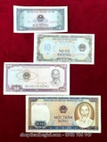 Năm 1980-1981