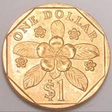 Tiền Xu Thế Giới